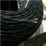 PT100 type thermocouple extension wire